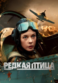 Редкая птица Сериал 2024 Россия Все (1-4 Серии) подряд